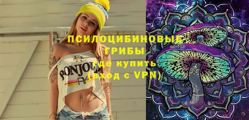 Псилоцибиновые грибы Psilocybe  Балаково 